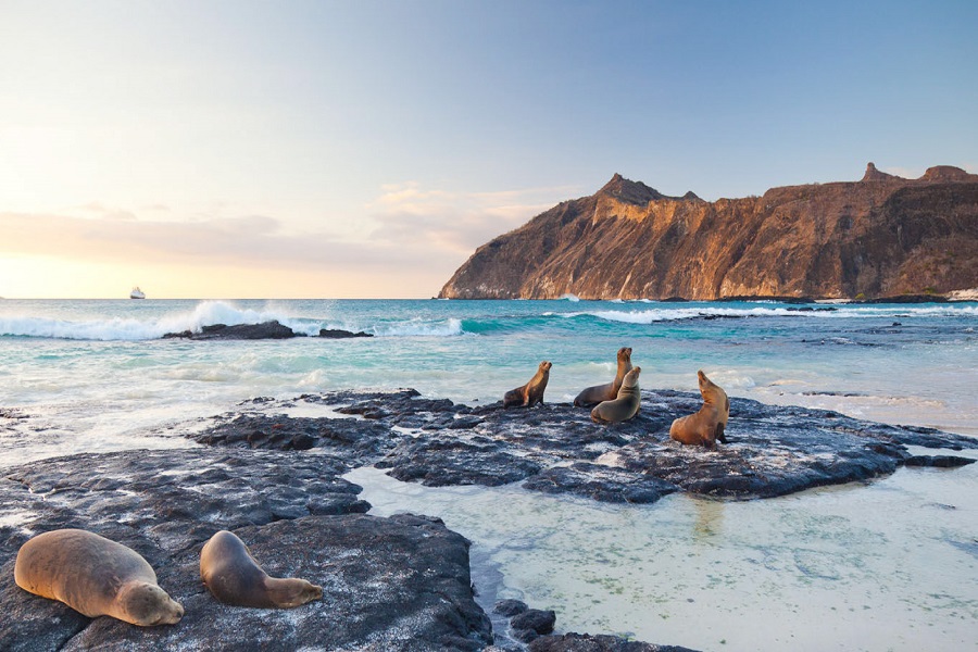 galapagos islands tours ecuador tours galapagos family vacations